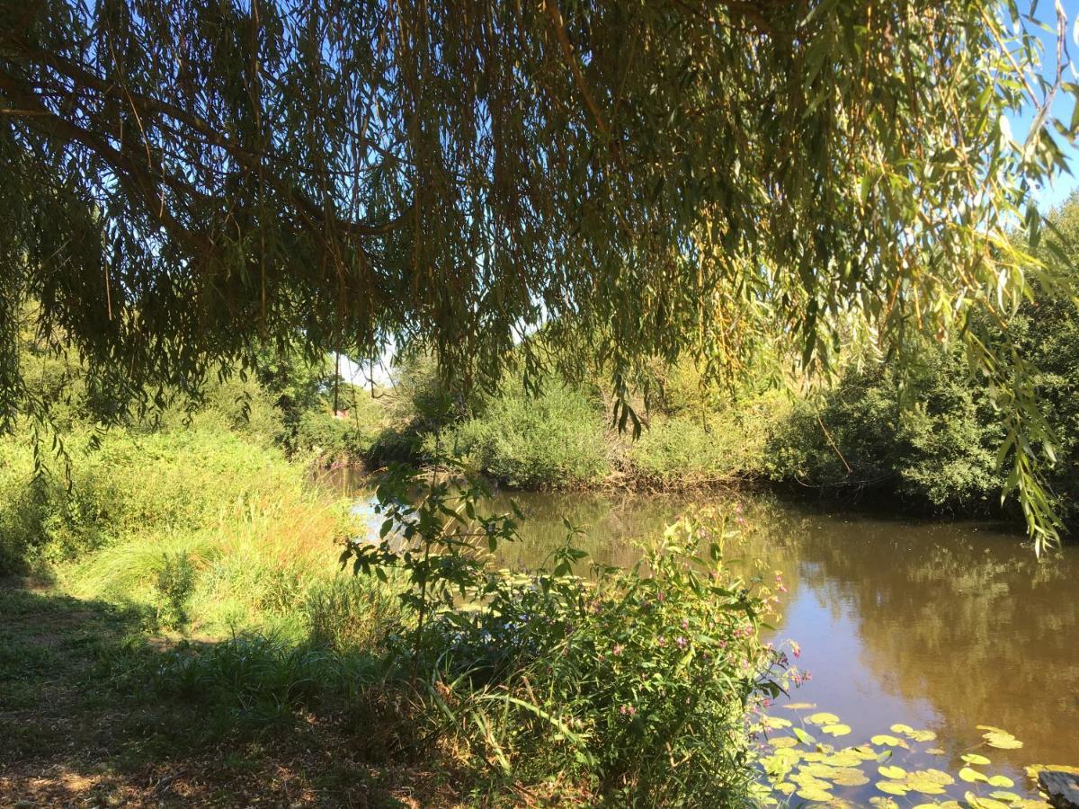 Les Bruyeres Gite Montbron ภายนอก รูปภาพ