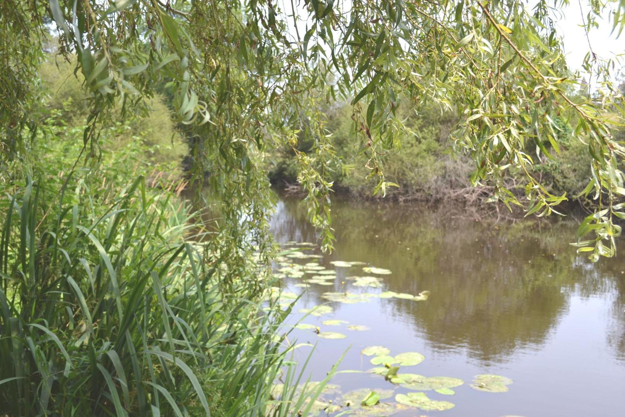 Les Bruyeres Gite Montbron ภายนอก รูปภาพ